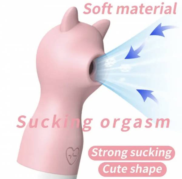 SUCCIONADOR CLITORIS - Imagen 6